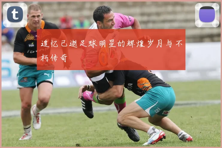 追忆已逝足球明星的辉煌岁月与不朽传奇