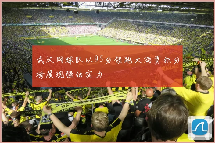 武汉网球队以95分领跑大满贯积分榜展现强劲实力