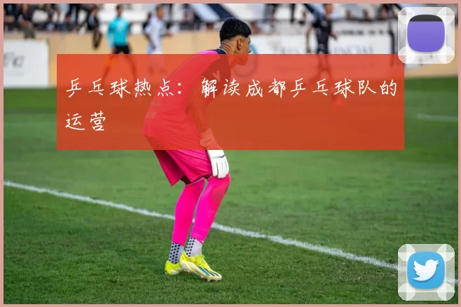 乒乓球热点：解读成都乒乓球队的运营