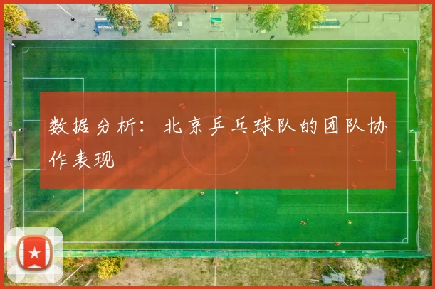 数据分析：北京乒乓球队的团队协作表现