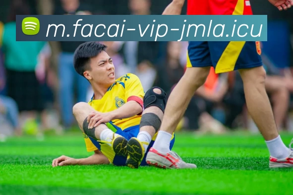 MK体育注册服务体系